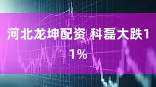 河北龙坤配资 科磊大跌11%